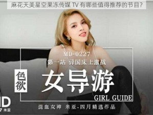 麻花天美星空果冻传媒 TV 有哪些值得推荐的节目？