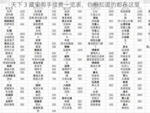 天下 3 藏宝阁手续费一览表，你想知道的都在这里