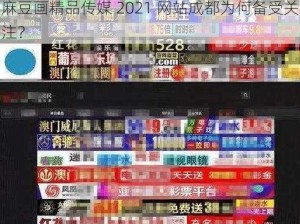 麻豆画精品传媒 2021 网站成都为何备受关注？