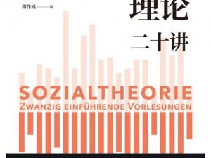 美国理论是否能解决当前社会痛点？如何应用美国理论实现社会变革？