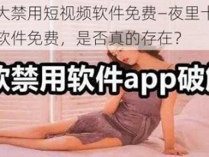 夜里十大禁用短视频软件免费—夜里十大禁用短视频软件免费，是否真的存在？