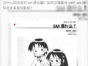 为什么同志会对 sm 感兴趣？如何正确看待 sm？sm 对同志关系有何影响？