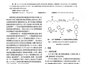 双 H2v1 是什么？为什么它能解决你的痛点？