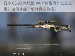 日本 CSGO 大姐姐 AWP 价格为什么这么贵？如何才能了解其真实价格？