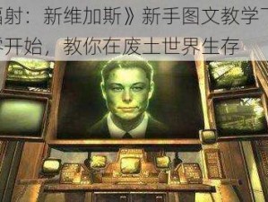 《辐射：新维加斯》新手图文教学下篇：从零开始，教你在废土世界生存