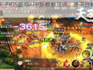 热血天子IOS版与APP版数据互通，跨平台畅享游戏乐趣