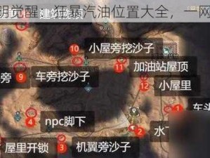 《黎明觉醒：狂暴汽油位置大全，一网打尽》