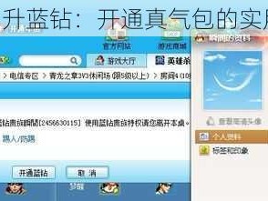QQ 飞升蓝钻：开通真气包的实用指南