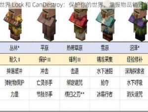 我的世界 Lock 和 CanDestroy：保护你的世界，掌握物品销毁的秘密