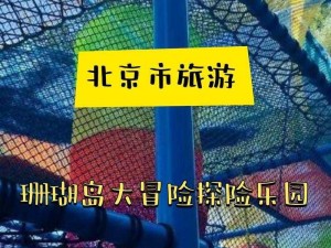 探索珊瑚岛抓虫子的奥秘：实用技巧大放送