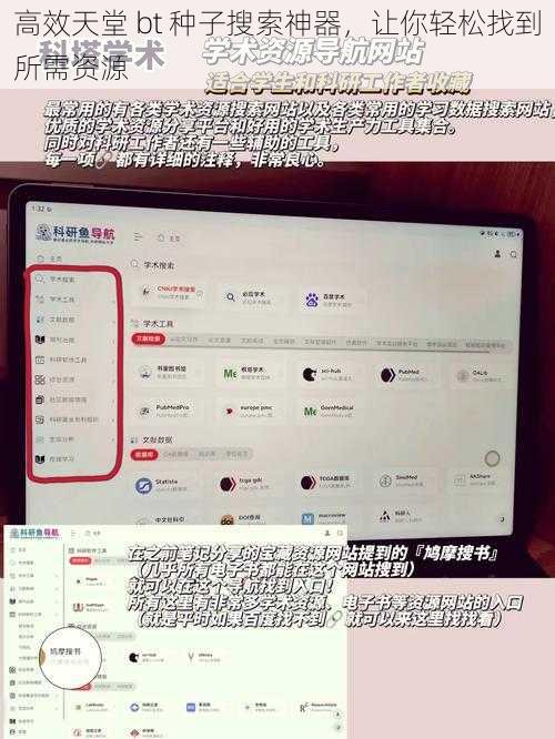 高效天堂 bt 种子搜索神器，让你轻松找到所需资源