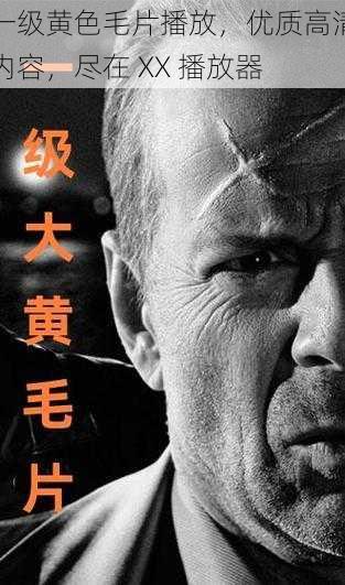 一级黄色毛片播放,优质高清内容,尽在 XX 播放器