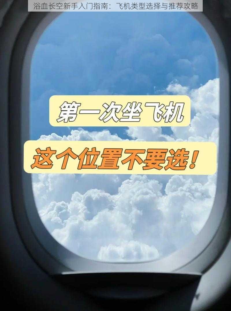 浴血长空新手入门指南：飞机类型选择与推荐攻略