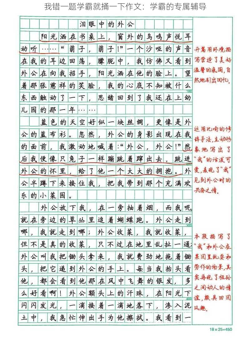 我错一题学霸就捅一下作文：学霸的专属辅导