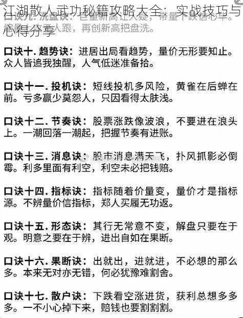 江湖散人武功秘籍攻略大全：实战技巧与心得分享