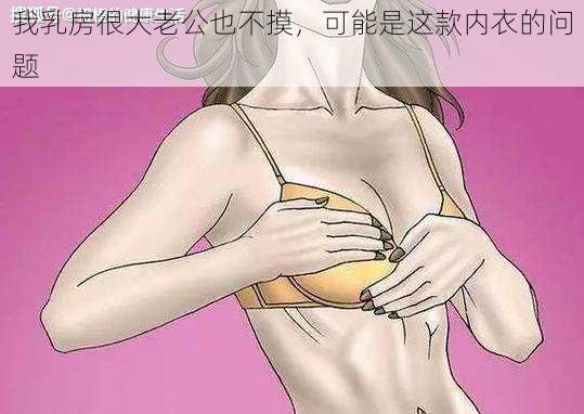 我乳房很大老公也不摸，可能是这款内衣的问题