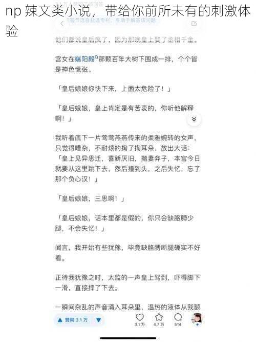 np 辣文类小说，带给你前所未有的刺激体验