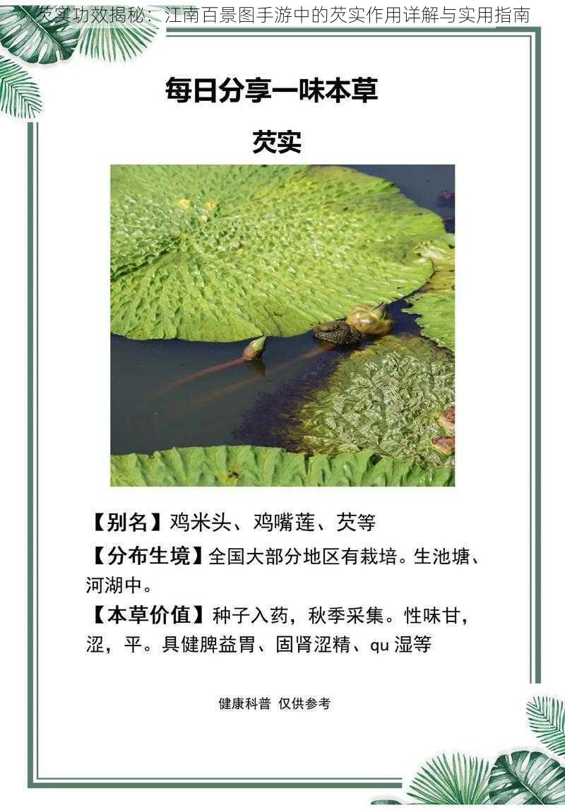 芡实功效揭秘：江南百景图手游中的芡实作用详解与实用指南