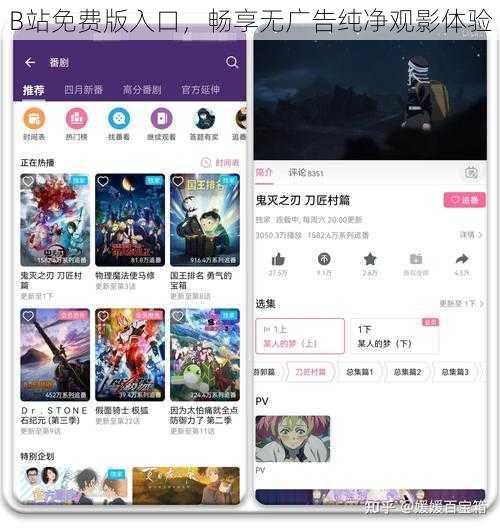 B站免费版入口，畅享无广告纯净观影体验