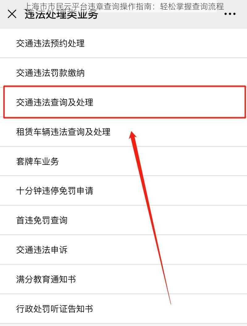 上海市市民云平台违章查询操作指南：轻松掌握查询流程