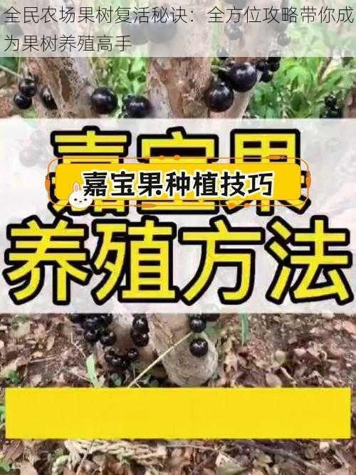 全民农场果树复活秘诀：全方位攻略带你成为果树养殖高手