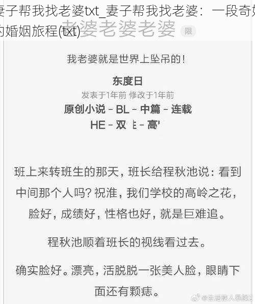 妻子帮我找老婆txt_妻子帮我找老婆：一段奇妙的婚姻旅程(txt)