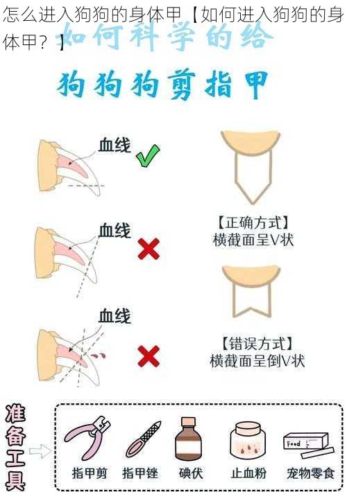 怎么进入狗狗的身体甲【如何进入狗狗的身体甲？】