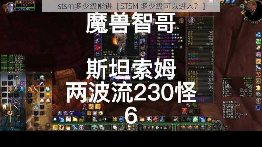 stsm多少级能进【STSM 多少级可以进入？】