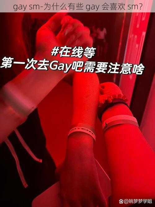 gay sm-为什么有些 gay 会喜欢 sm？