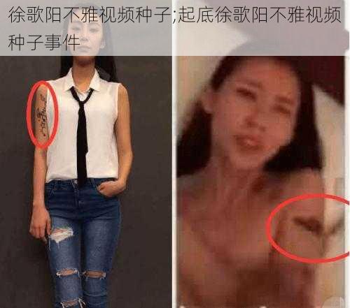 徐歌阳不雅视频种子;起底徐歌阳不雅视频种子事件