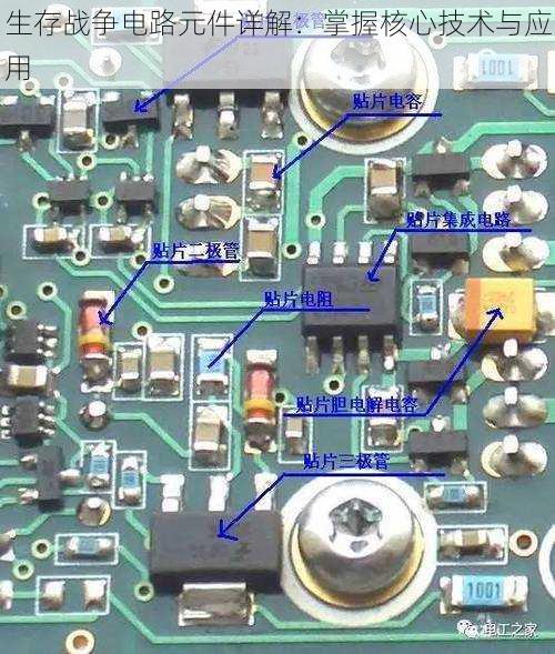生存战争电路元件详解：掌握核心技术与应用
