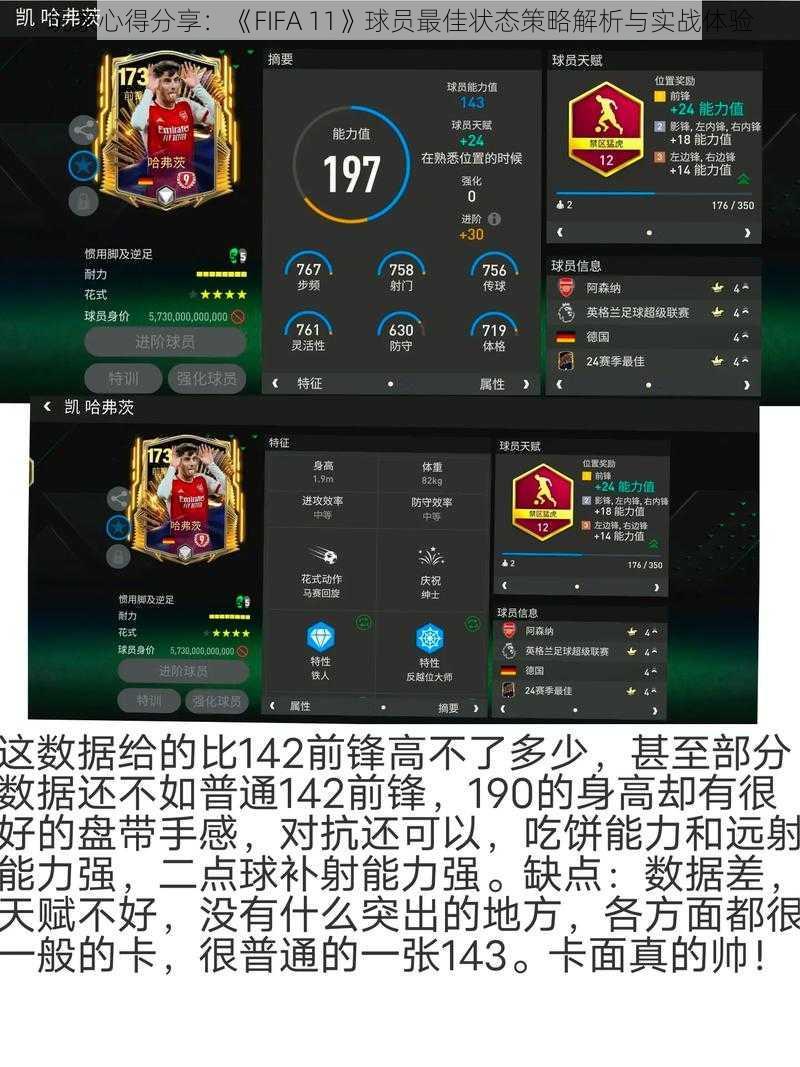 玩家心得分享：《FIFA 11》球员最佳状态策略解析与实战体验