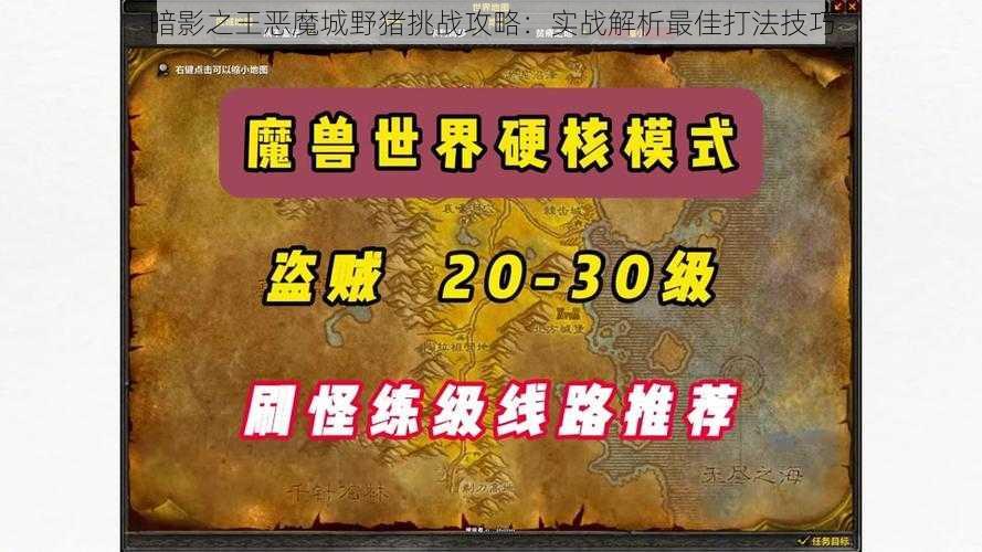 暗影之王恶魔城野猪挑战攻略：实战解析最佳打法技巧