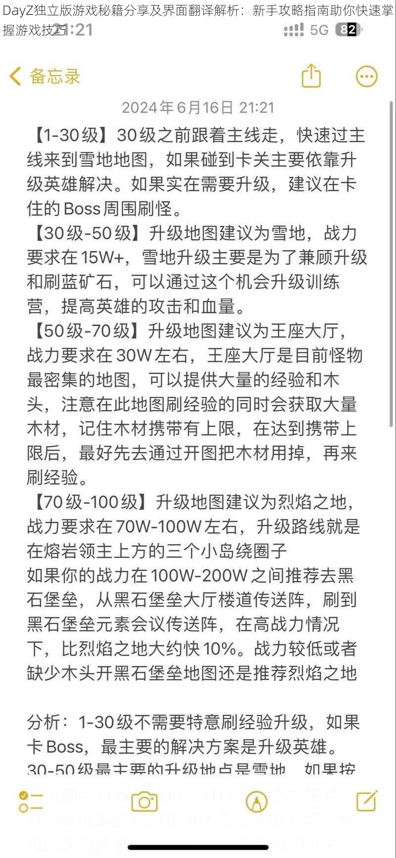 DayZ独立版游戏秘籍分享及界面翻译解析：新手攻略指南助你快速掌握游戏技巧