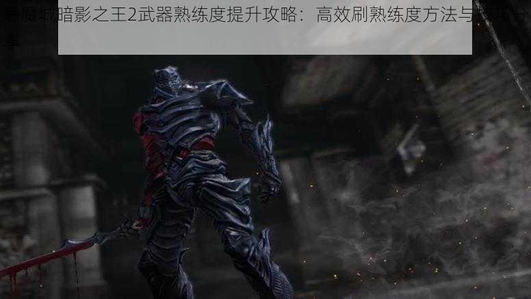 恶魔城暗影之王2武器熟练度提升攻略：高效刷熟练度方法与技巧分享