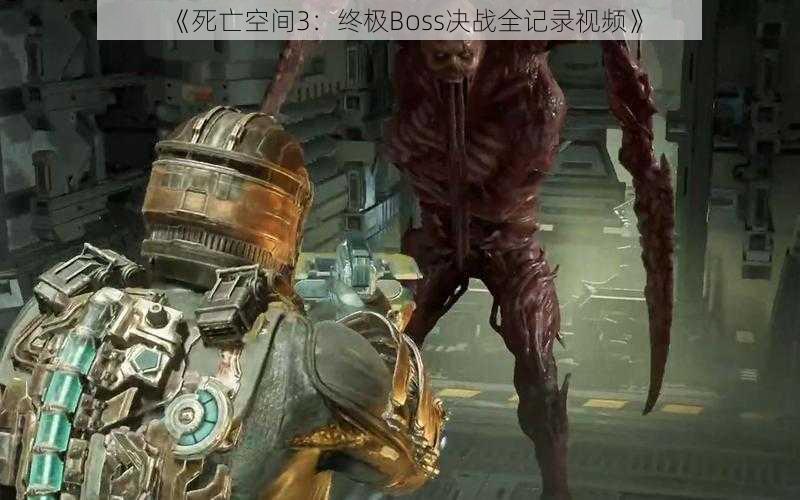 《死亡空间3：终极Boss决战全记录视频》