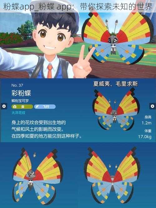 粉蝶app_粉蝶 app：带你探索未知的世界