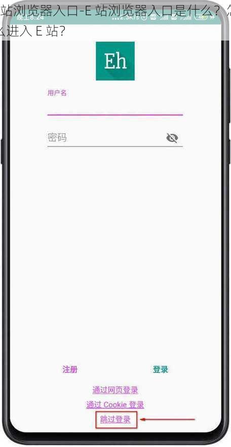 E站浏览器入口-E 站浏览器入口是什么？怎么进入 E 站？