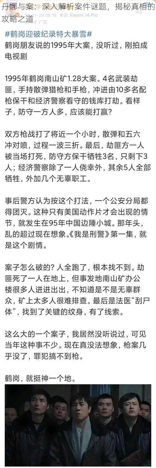 丹娜与案：深入解析案件谜题，揭秘真相的攻略之道