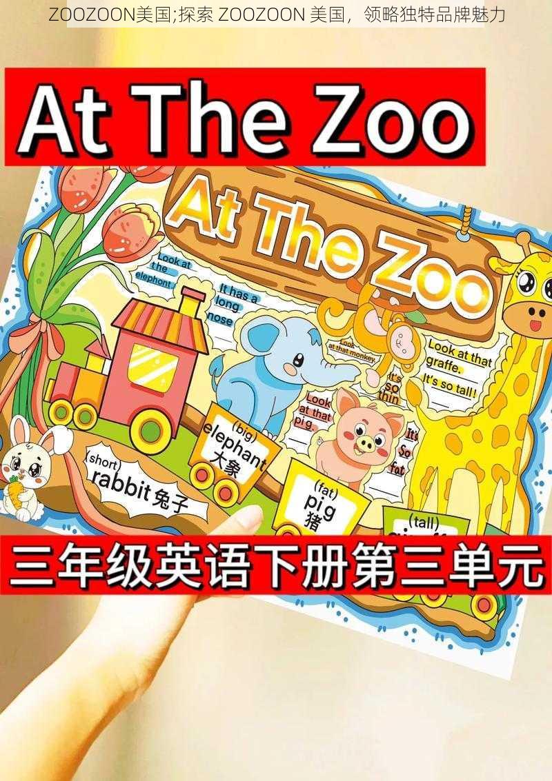 ZOOZOON美国;探索 ZOOZOON 美国，领略独特品牌魅力