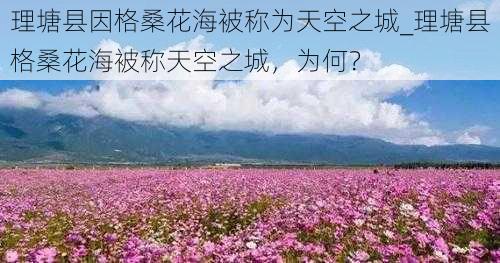 理塘县因格桑花海被称为天空之城_理塘县格桑花海被称天空之城，为何？