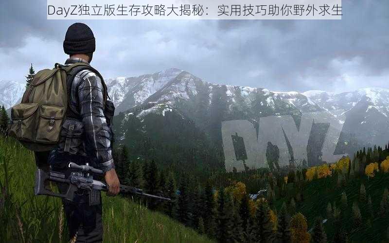 DayZ独立版生存攻略大揭秘：实用技巧助你野外求生