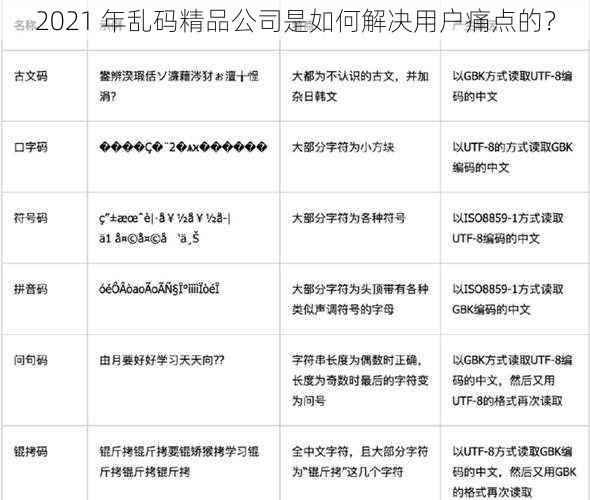 2021 年乱码精品公司是如何解决用户痛点的？