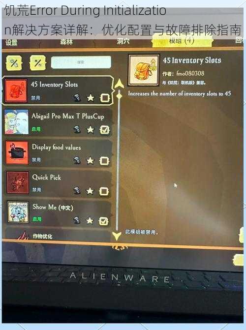 饥荒Error During Initialization解决方案详解：优化配置与故障排除指南