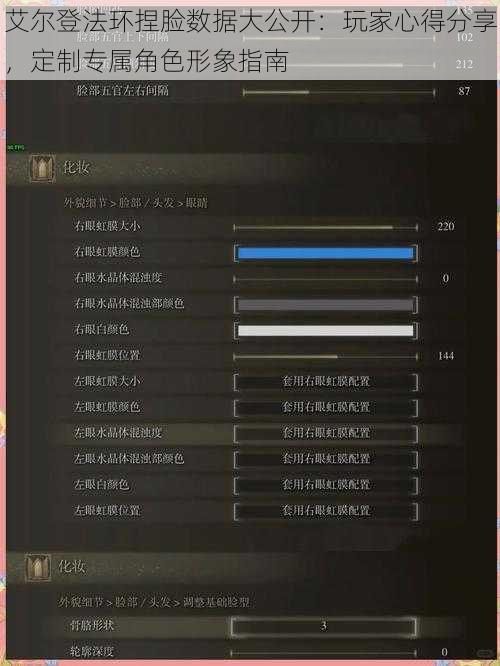 艾尔登法环捏脸数据大公开：玩家心得分享，定制专属角色形象指南