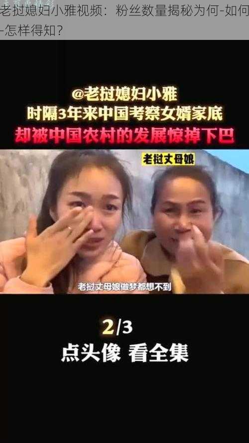 老挝媳妇小雅视频：粉丝数量揭秘为何-如何-怎样得知？