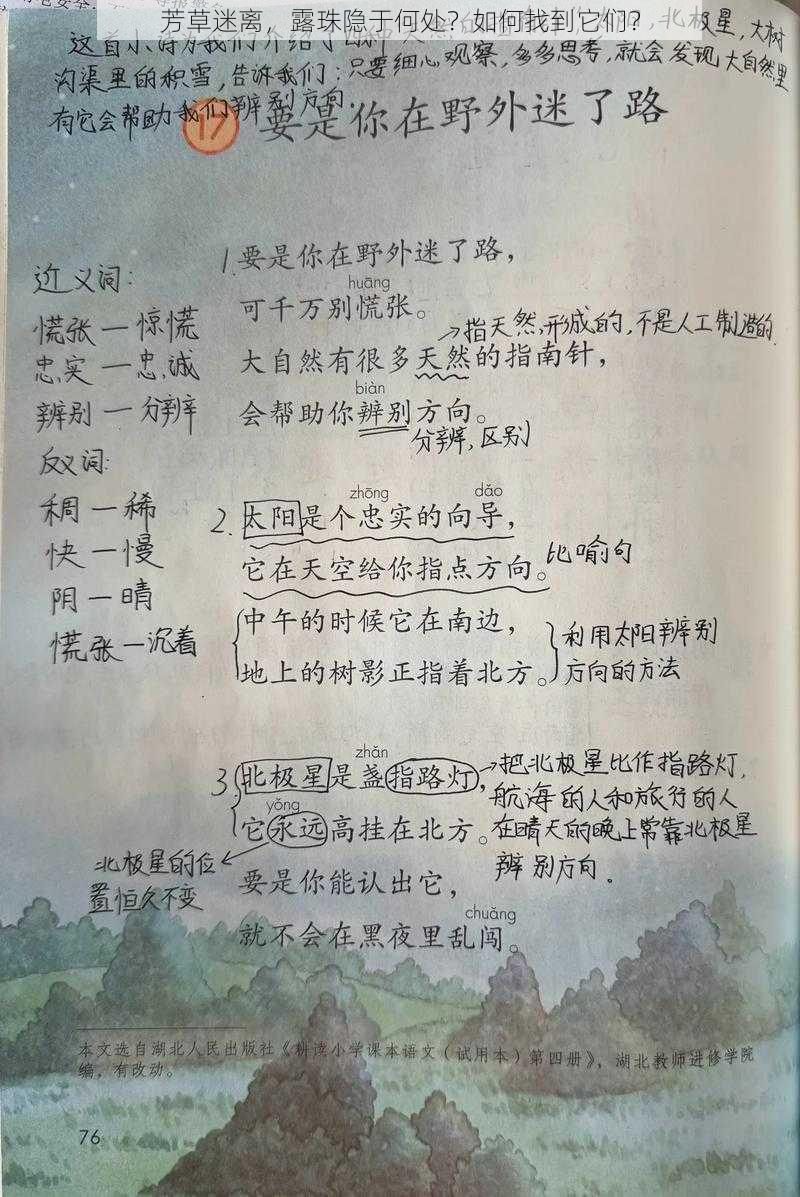 芳草迷离，露珠隐于何处？如何找到它们？