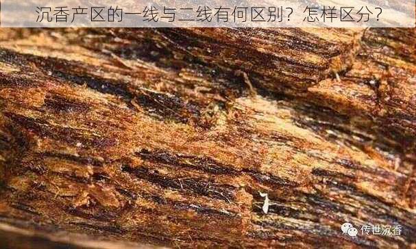 沉香产区的一线与二线有何区别？怎样区分？