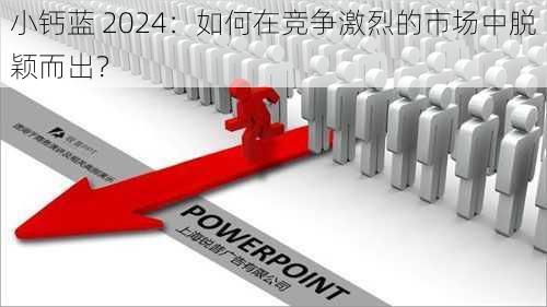 小钙蓝 2024：如何在竞争激烈的市场中脱颖而出？