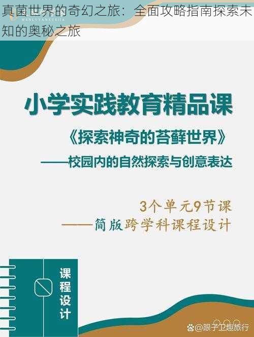 真菌世界的奇幻之旅：全面攻略指南探索未知的奥秘之旅